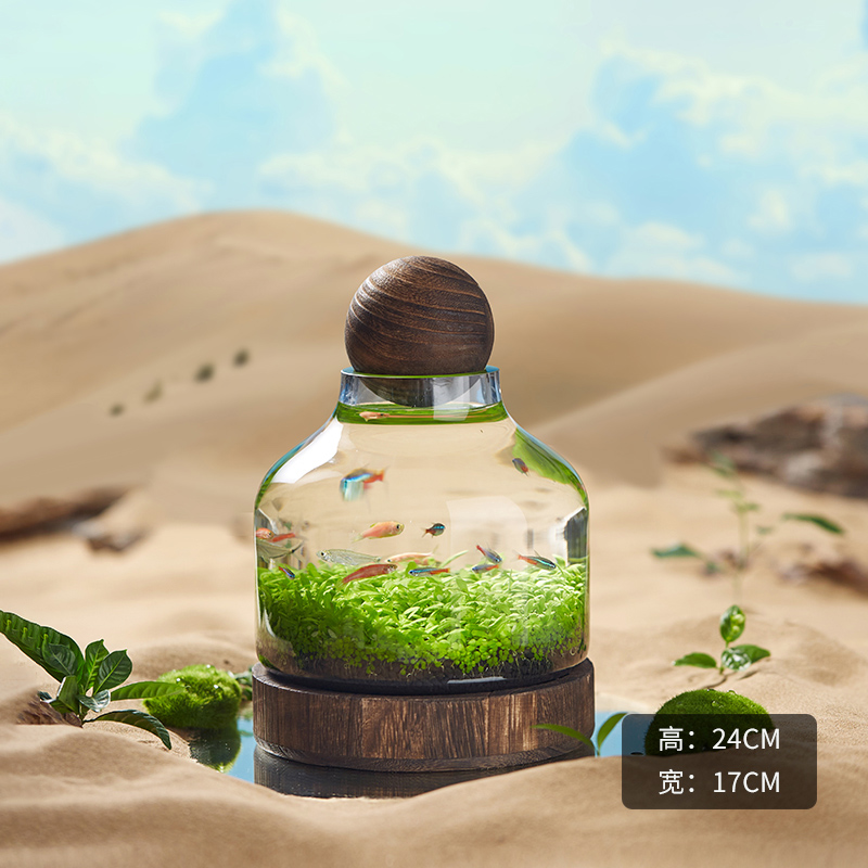 Buy Ecological fish bottle glass fish tank micro landscape fish shrimp