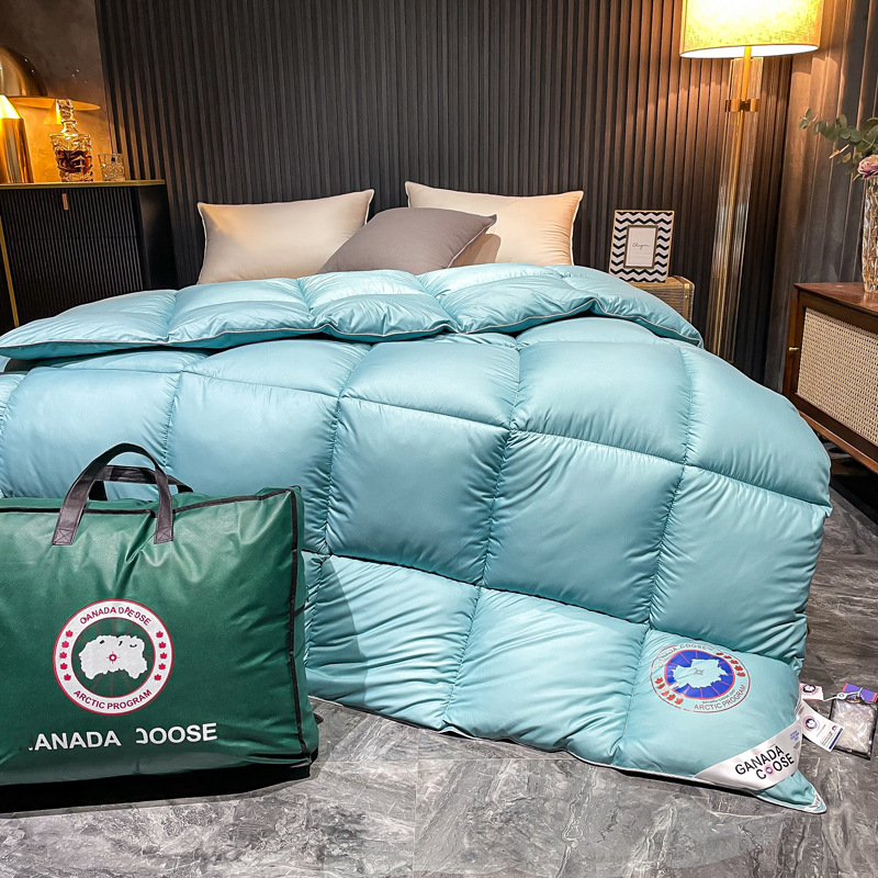 Buy New style big goose down quilt, pure cotton spring and autumn quilt