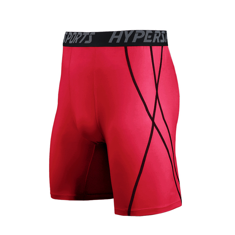 Buy Summer pro sports tight shorts men's fitness running elastic ...